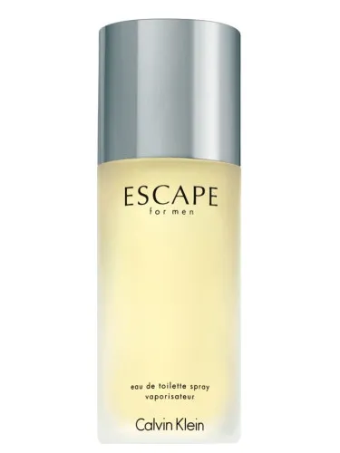 Perfume Calvin Klein Escape For Men Eau De Toilette 100ml Original 