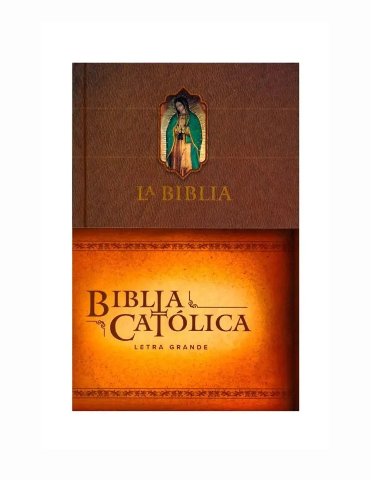Santa Biblia Catolica