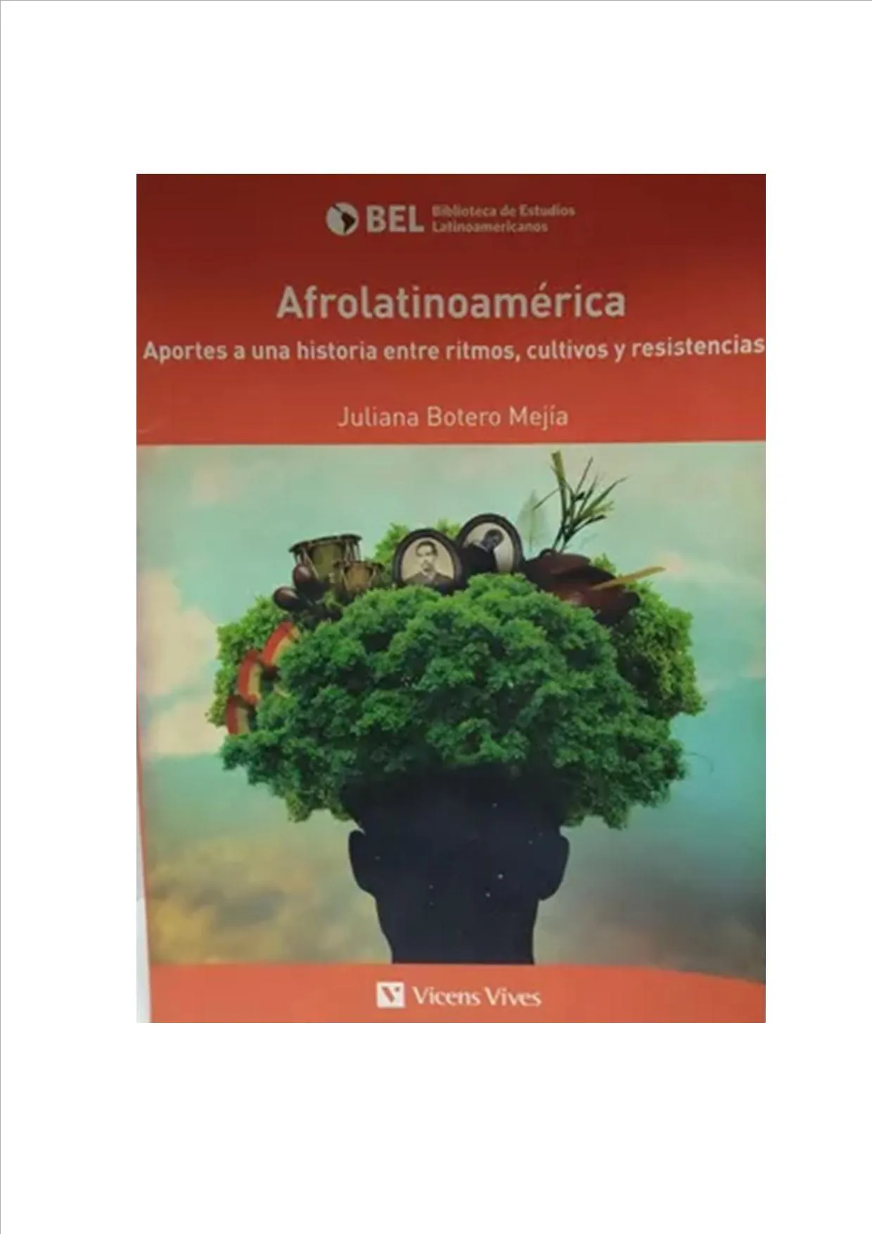 Afrolatinoamerica. Aportes A Una Historia... 