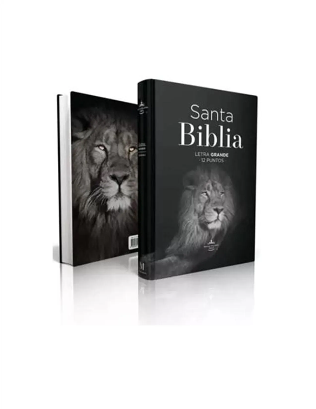  Biblia Rv60 Eco Flex /León Letra Grande/Canto Plateado
