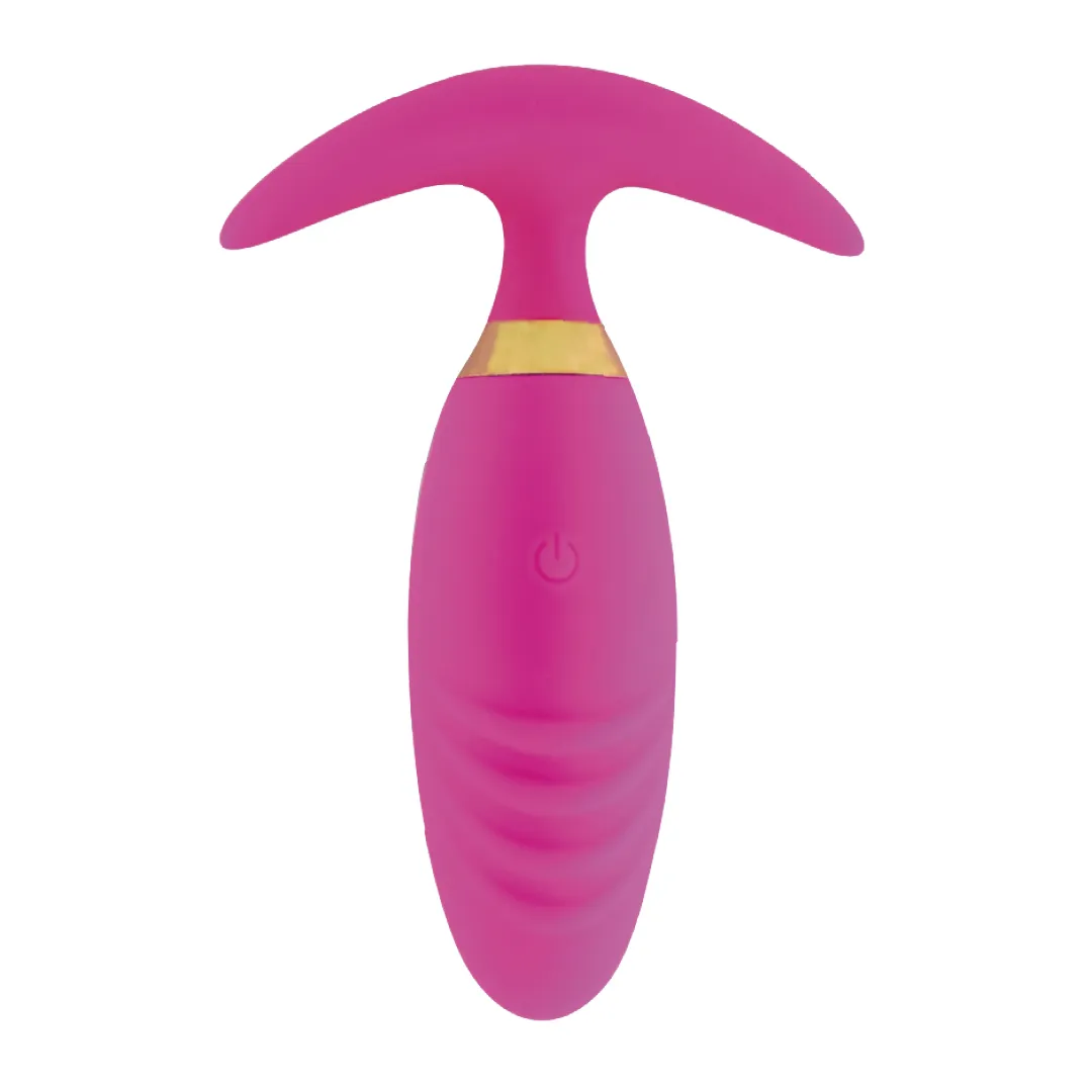 Vibrador Prostático Plug Anal Masajeador De Próstata Controlado Por App Bluetooth Control Móvil