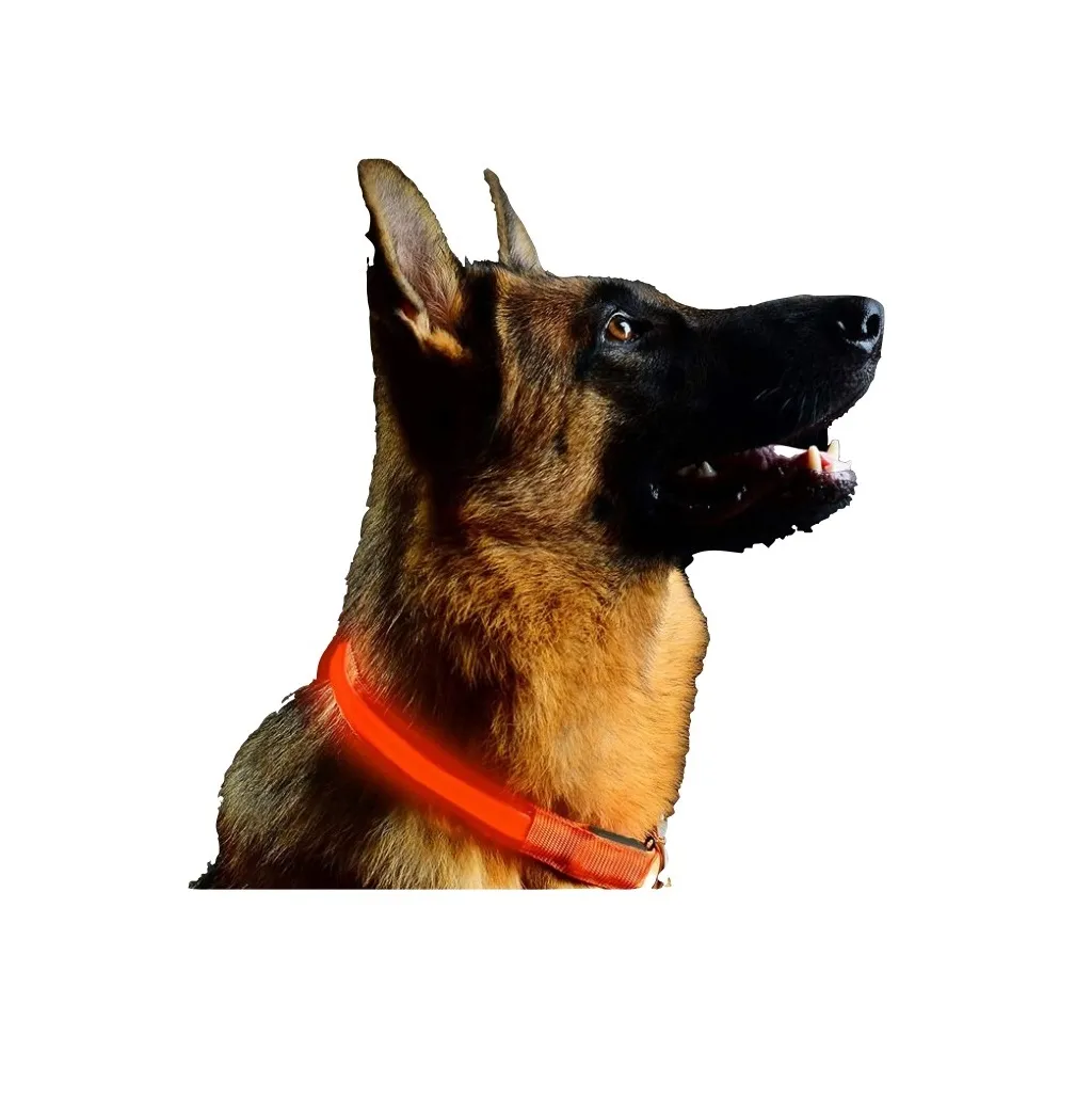 Collar Luz Led Reflectivo Perro Gato Mascotas 3 Efectos Rojo Talla XL