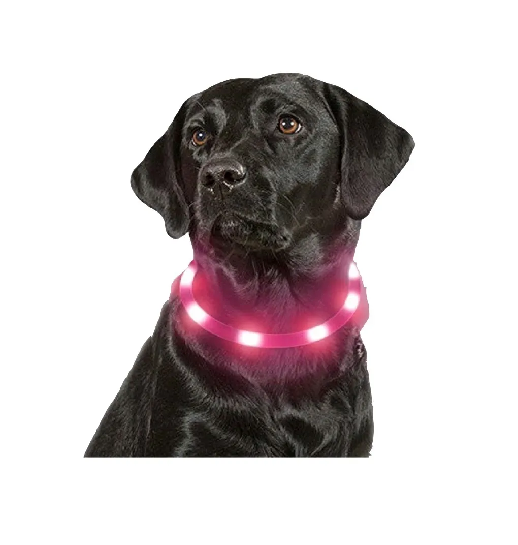 Collar Luz Led Reflectivo Perro Gato Mascotas 3 Efectos Rosa Talla XS