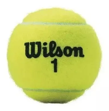 	 Pelota Tenis De Campo Wilson Championship Tapa Roja