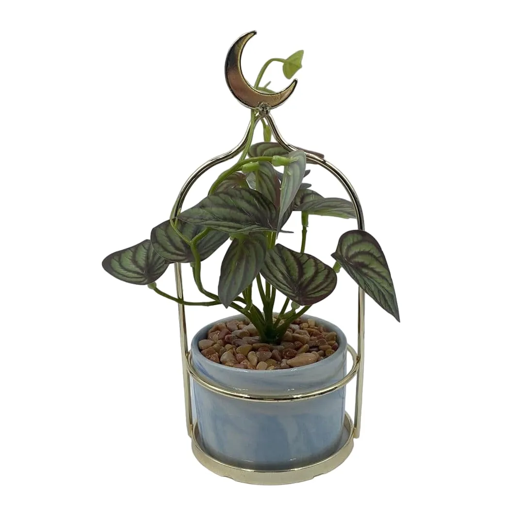 Planta Decorativa Luna Maceta Tipo Gris