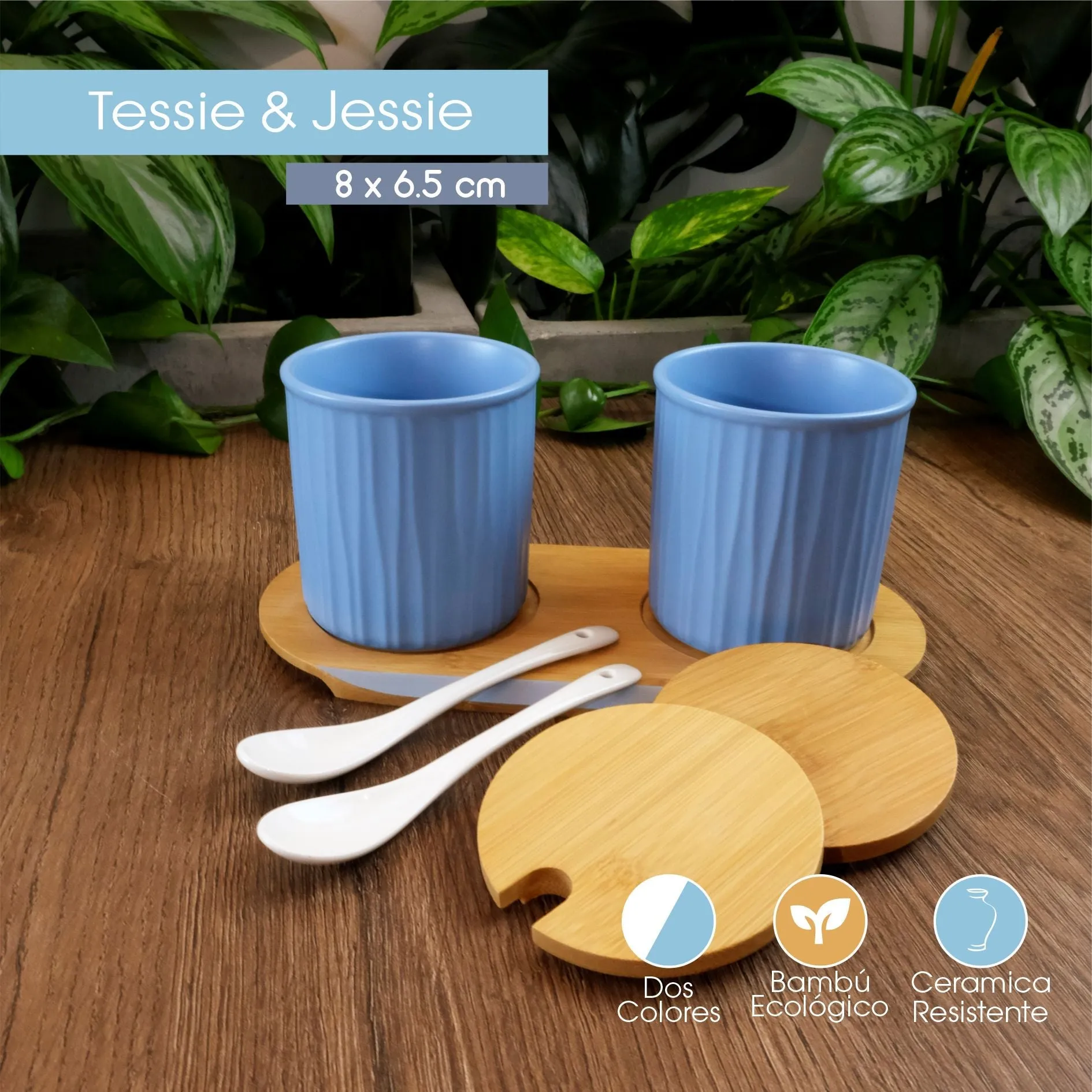 Set Condimenteros X2 En Ceramica Azul Cielo