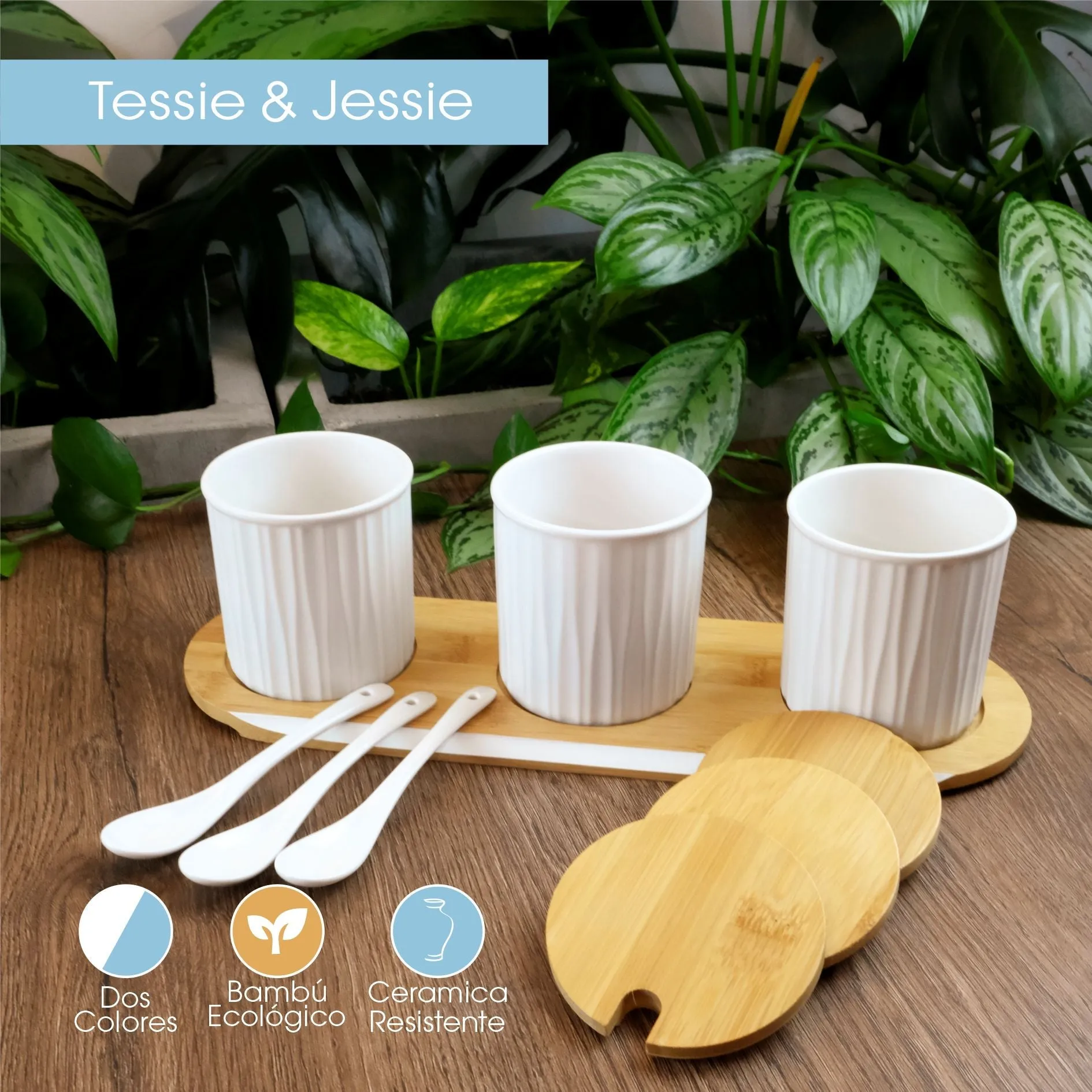 Set Condimenteros X3 En Ceramica Blanco