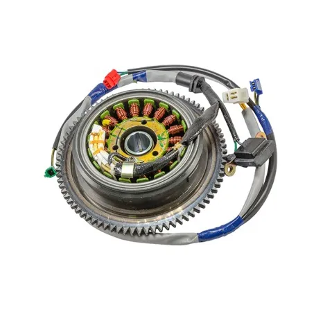 Volante Con Stator De Bobinas Motocarro Re205D Genui Kit