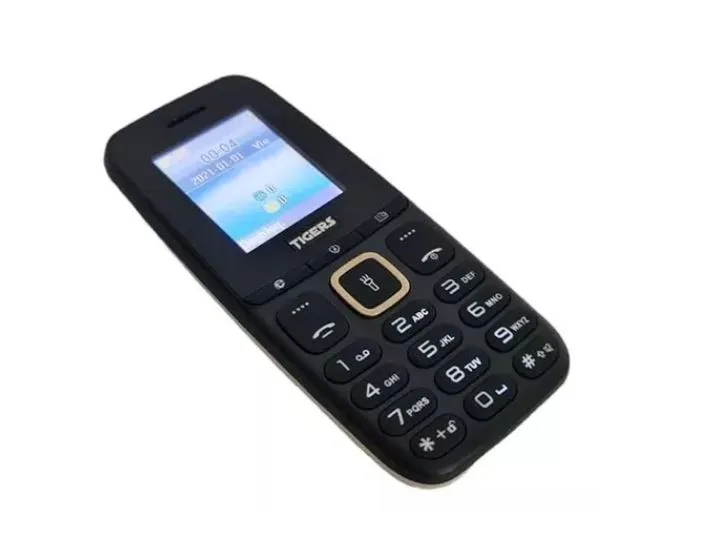 Celular Dual Sim Con Mp3 / Linterna /Radio / Fm / Camara