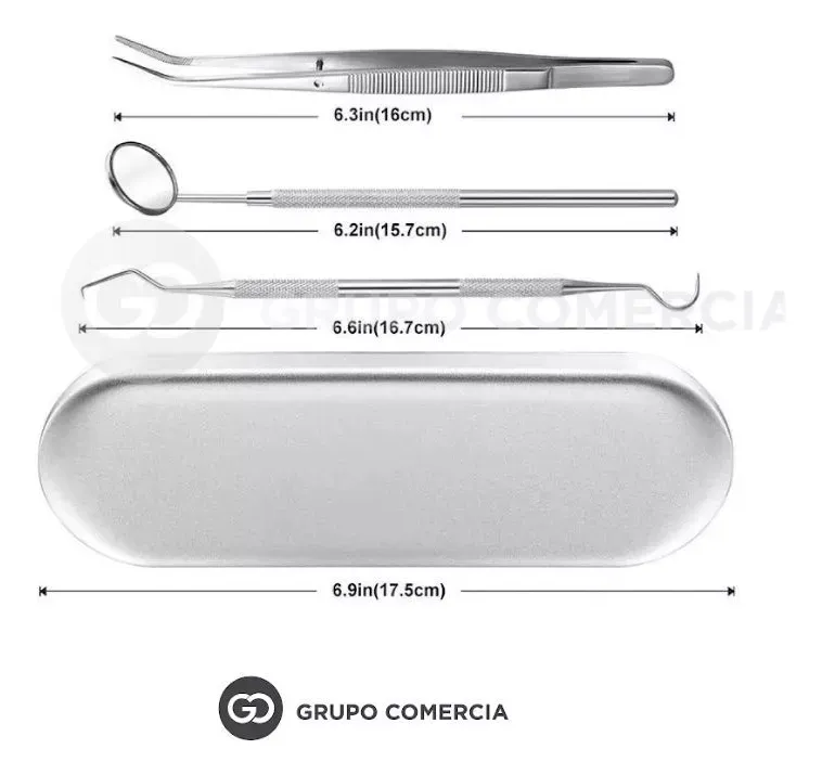 Kit De Aseo Dental En Acero Inoxidable 6 Piezas Con Estuche