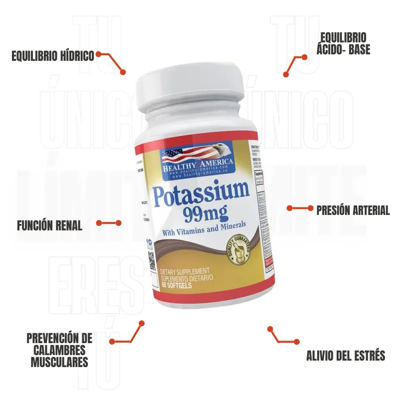 Potassium 99 Mg 60 Capsulas Healthy America