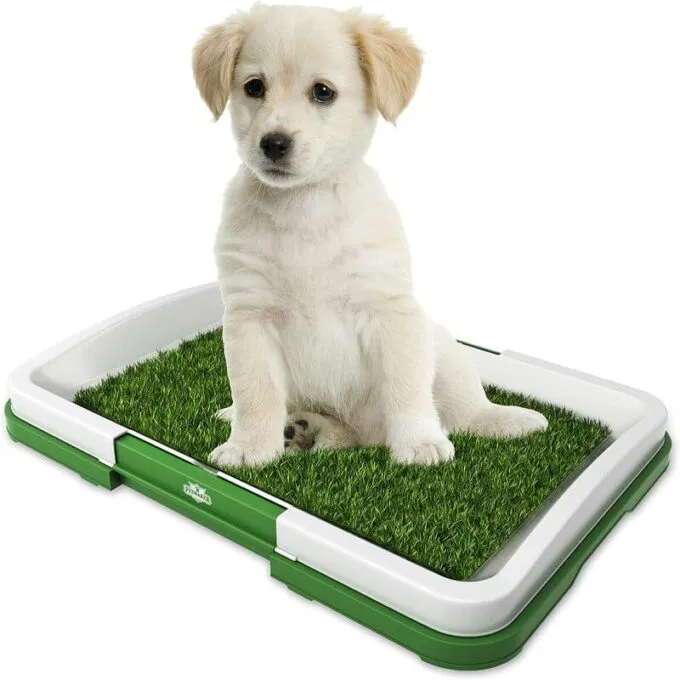 Tapete Mediano Para Mascota Entrenamiento Baño Puppy Potty