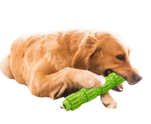 Juguete Masticable Para Perro 
