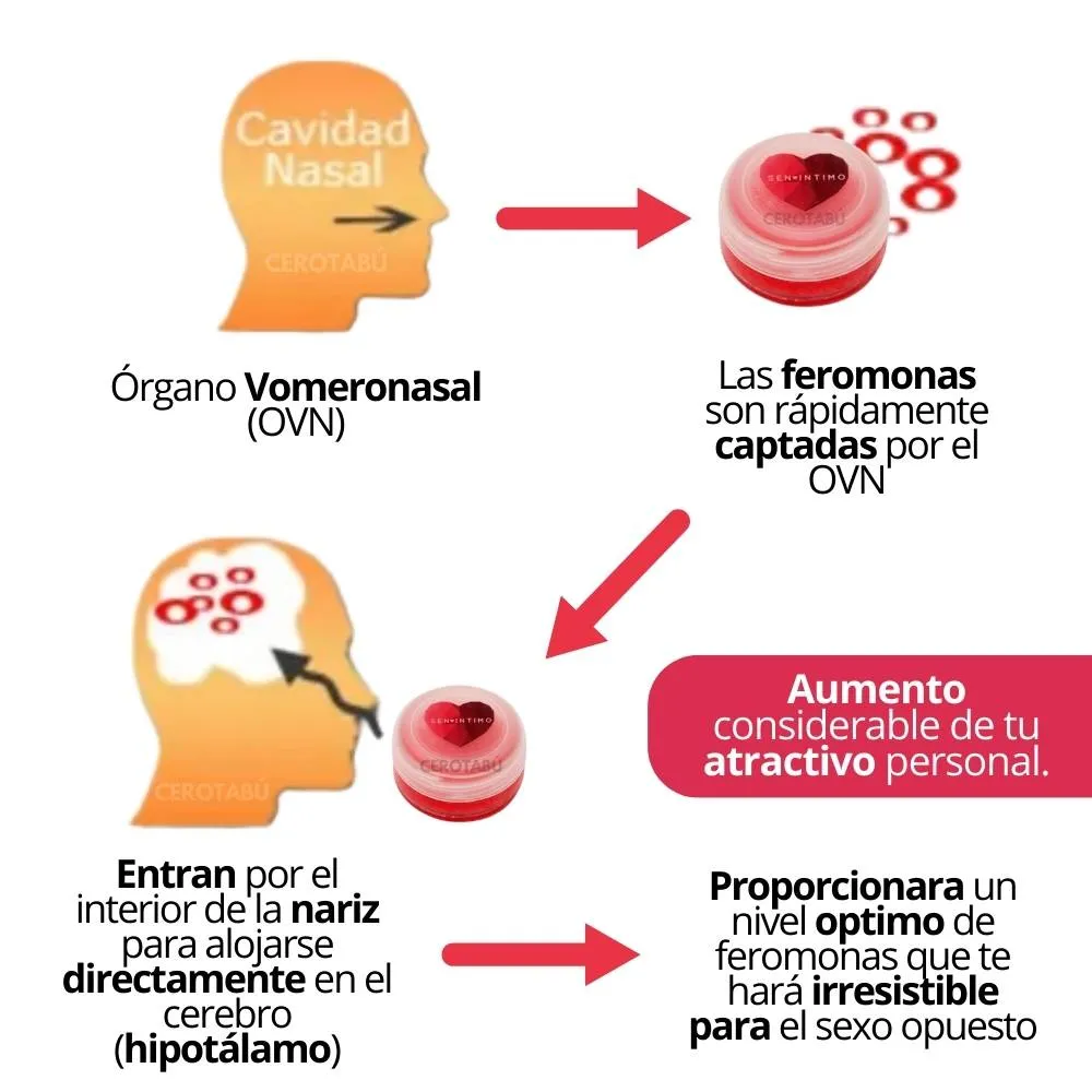 Brillo Labial Cereza Con Feromonas 10 Ml Hidratante