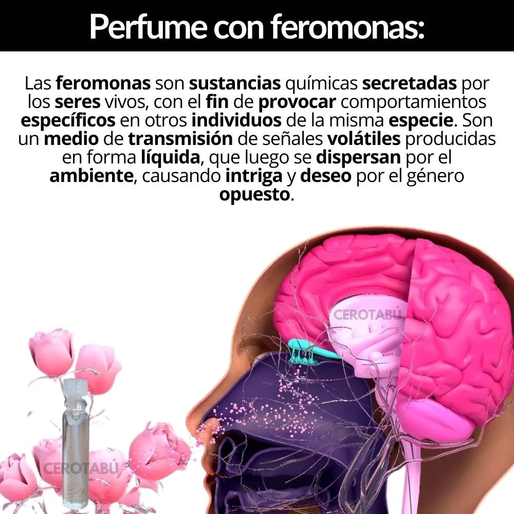 Lubricante Crema Multiorgasmos Sensación Caliente 5 g + Feromonas 