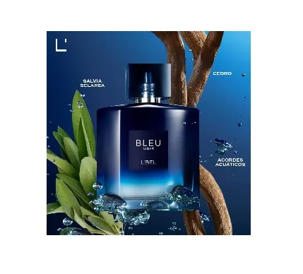     Bleu Intense Night Perfume para Hombre 100 ml
