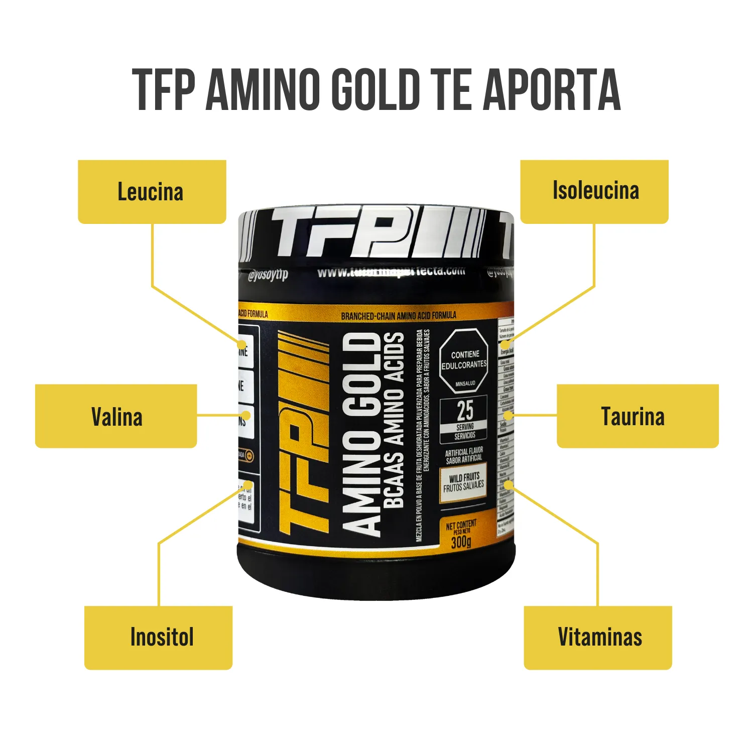 Aminoacidos TFP Amino Gold 300 Grs