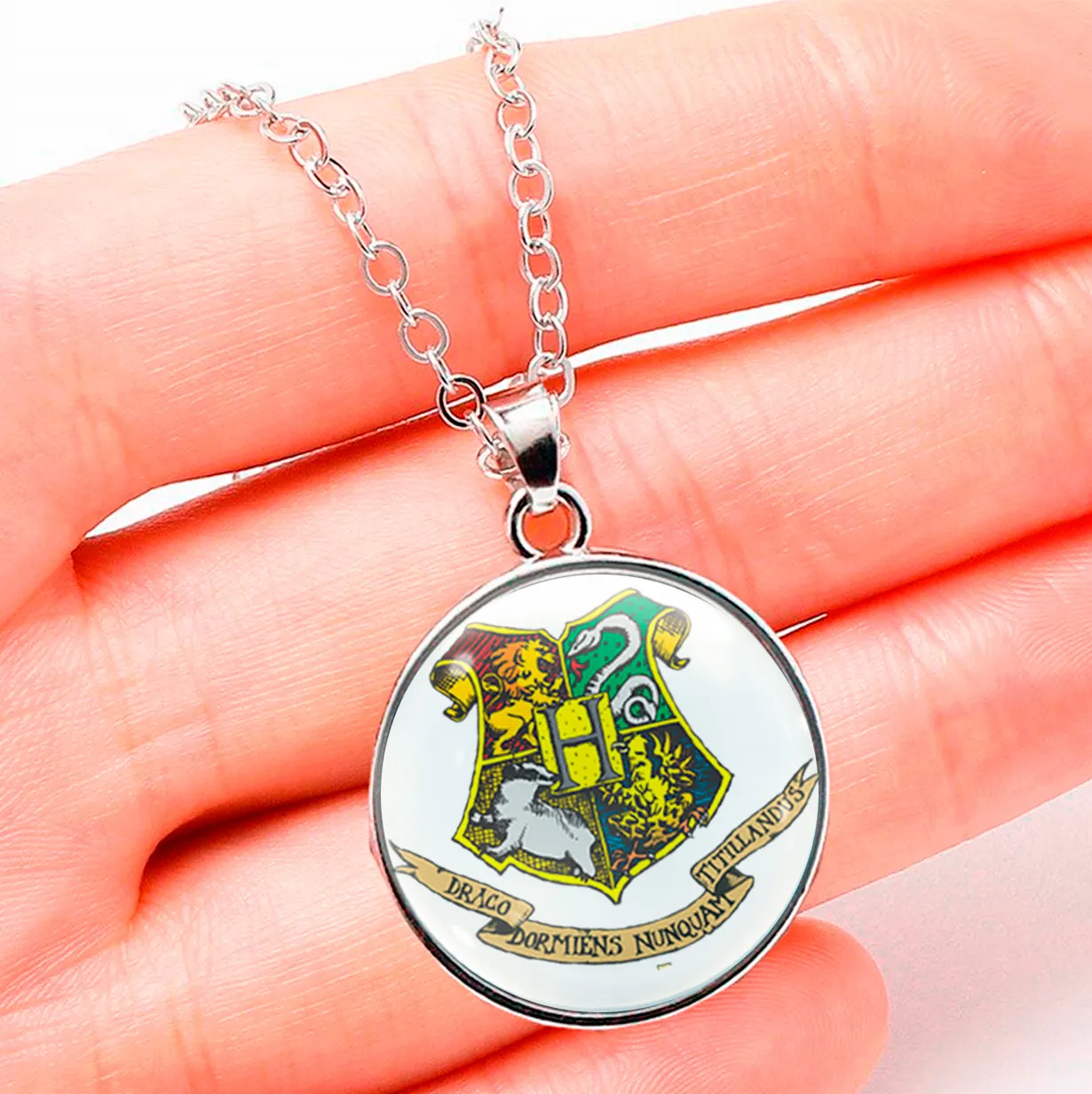 Collar Harry Potter Hogwart Unisex + Estuche