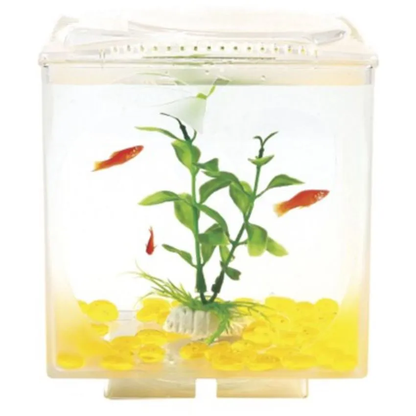 Betera AppIe Window Acuario Bettas Aquasyncro 3lt