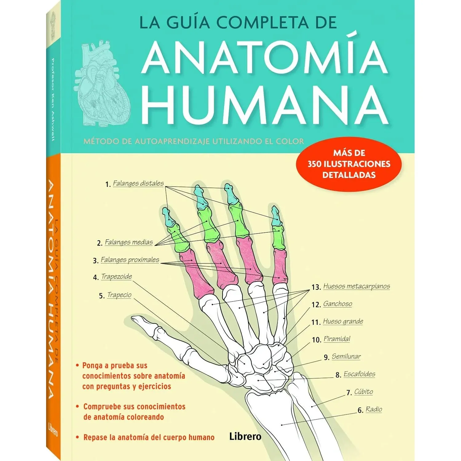 La Guia Completa Anatomia Humana