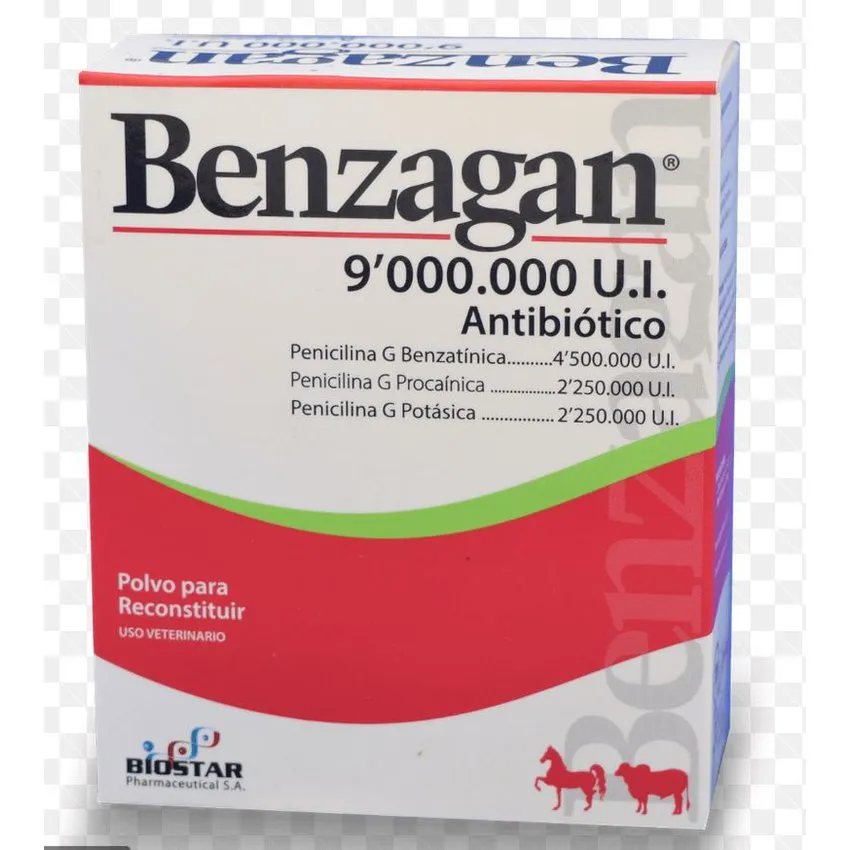 Benzagan Antibiotico Bovinos  - Equinos 9 M.U.I