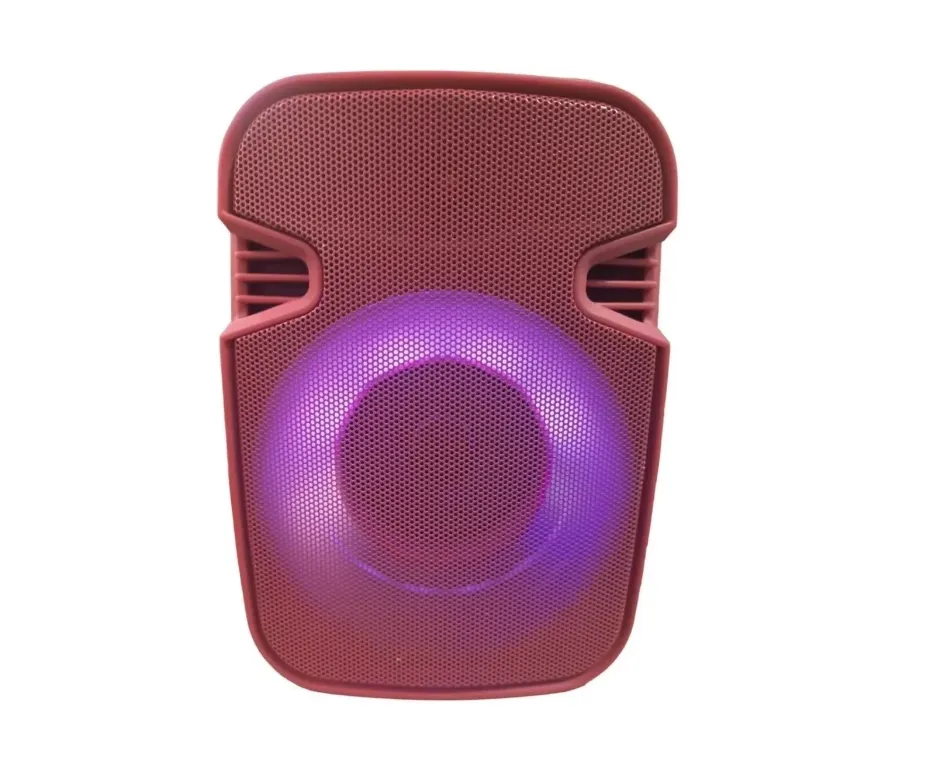 Parlante Portatil Inalambrico Luz Led Usb Bluetooth Radio