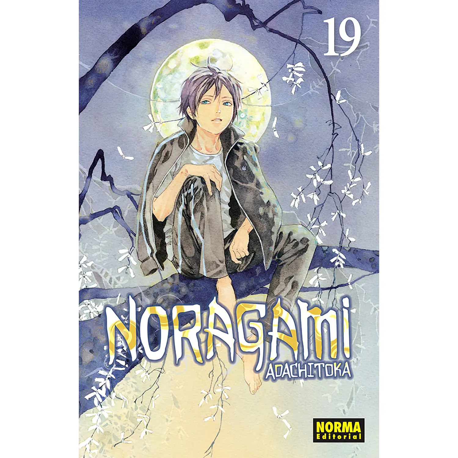 Noragami No. 19