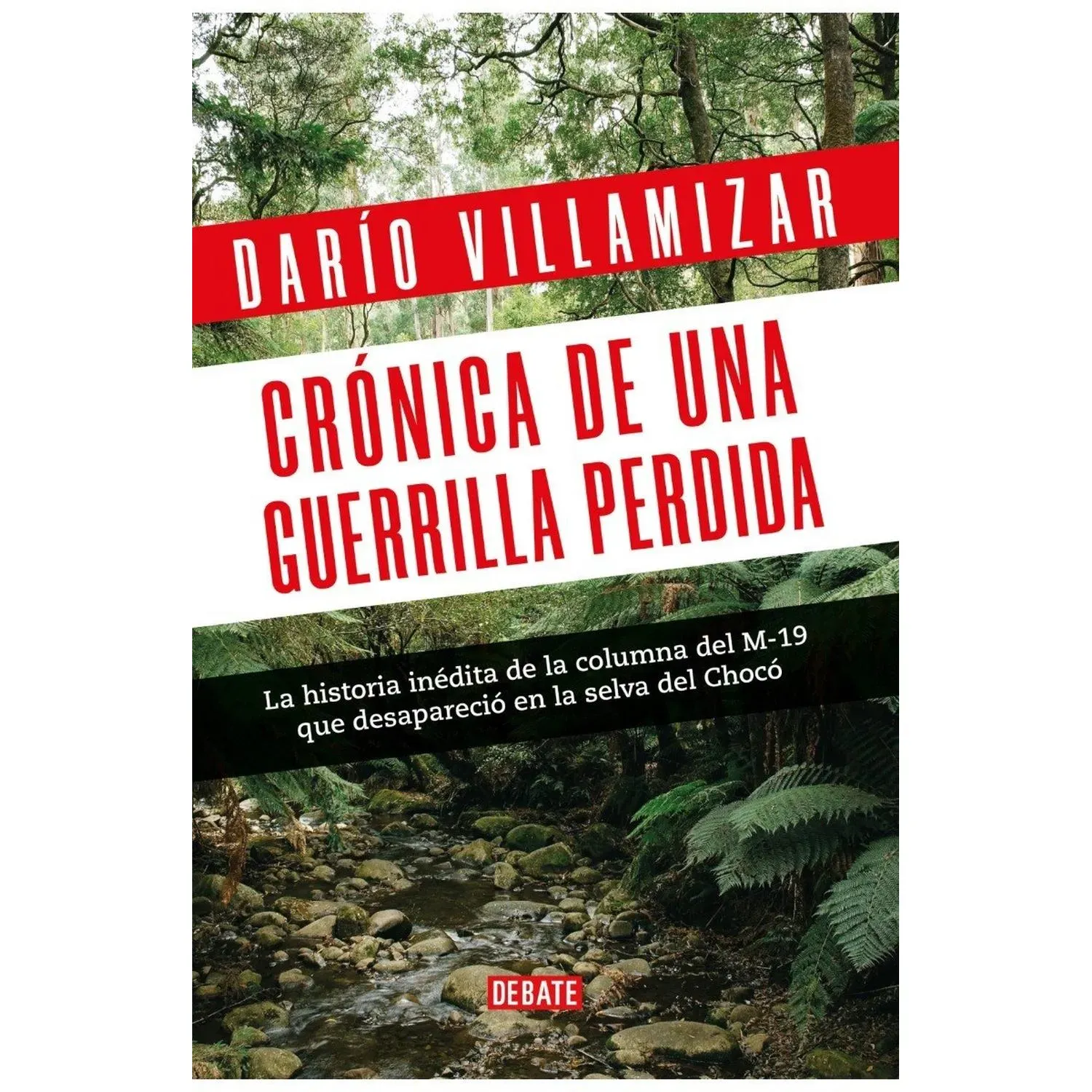 Crónica De Una Guerrilla Perdida / Darío Villamizar