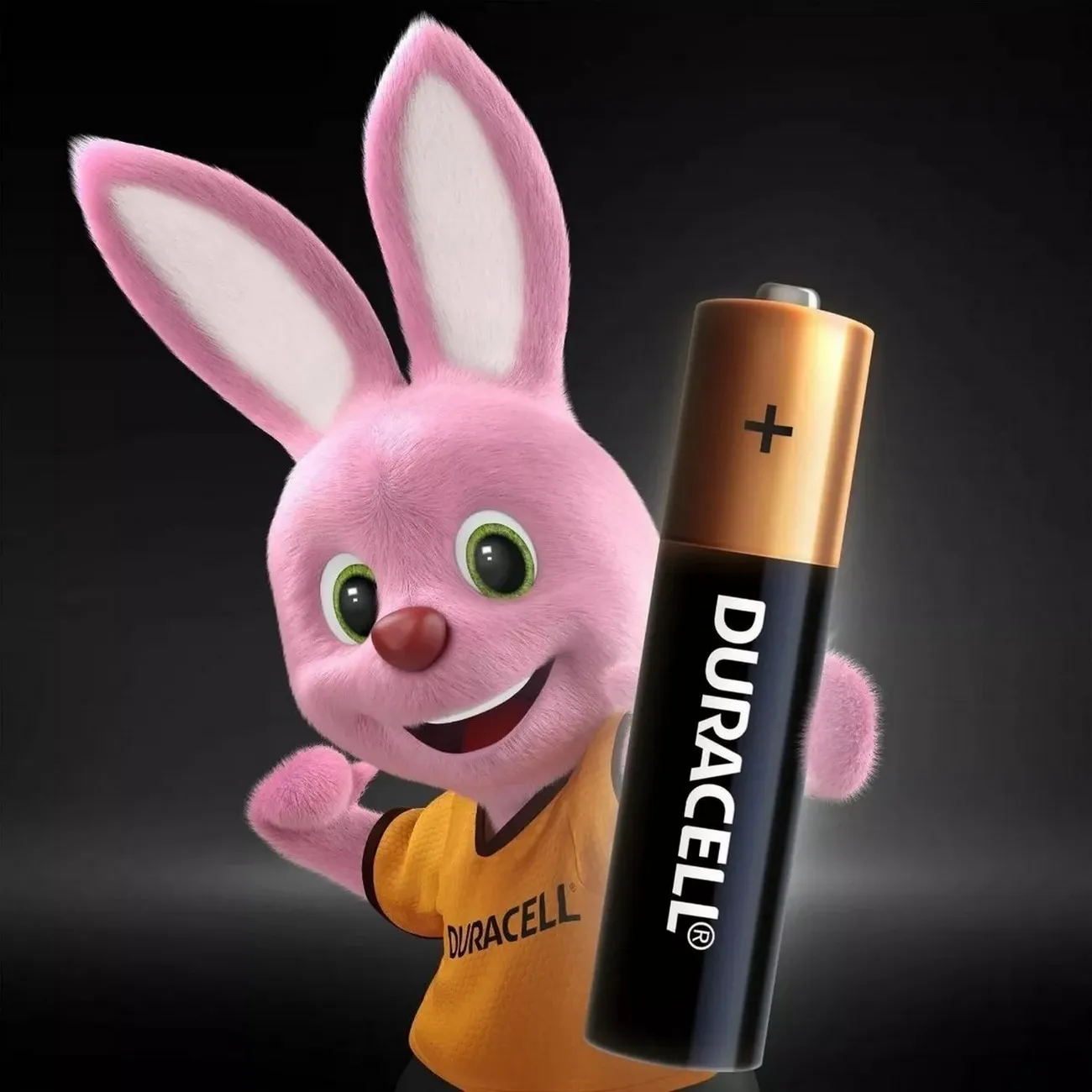 Pilas Duracell Alcalinas Aaa Paquete De 6 Unidades Original