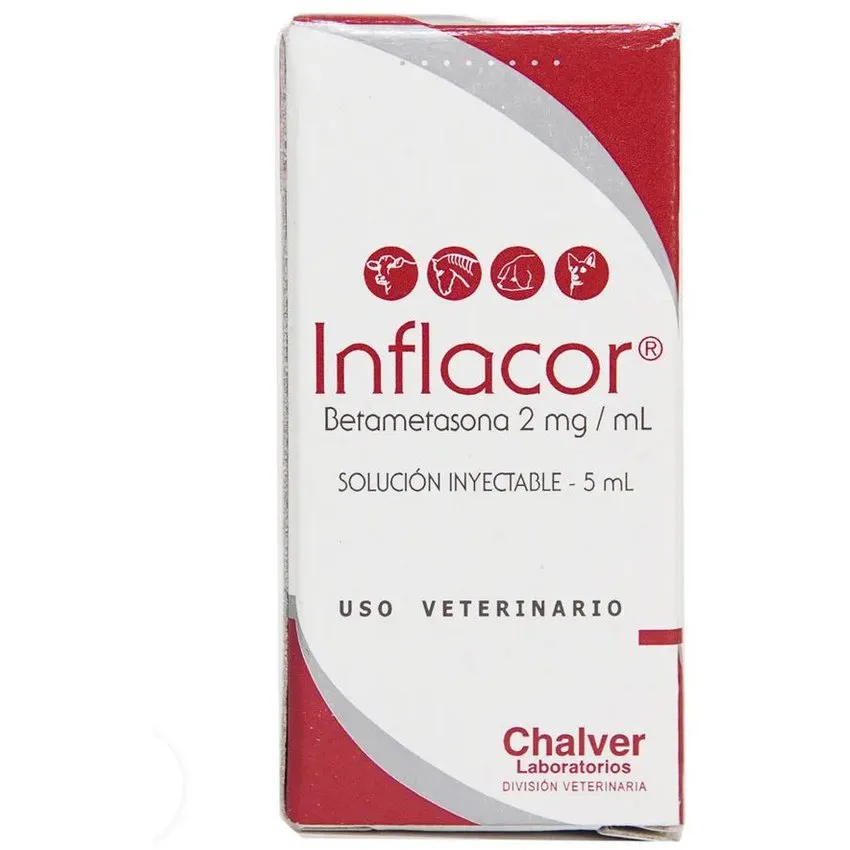 Inflacor Antiinflamatorio Inyectable Perros 5Ml