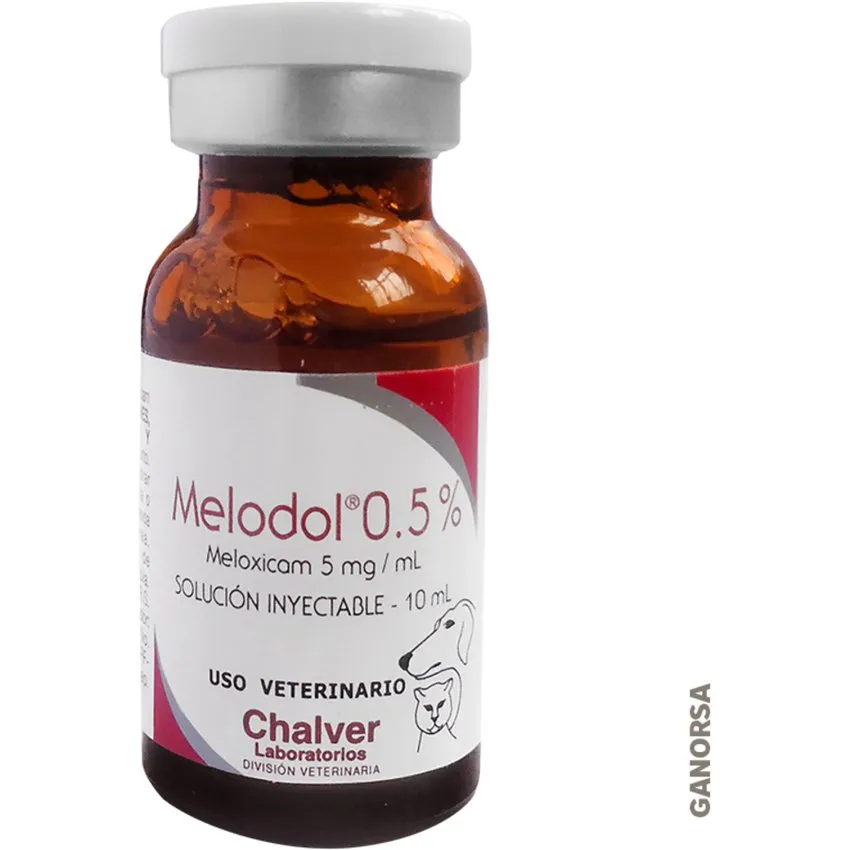 Melodol 0.5 Antiinflamatorio Inyectable Perros 10Ml