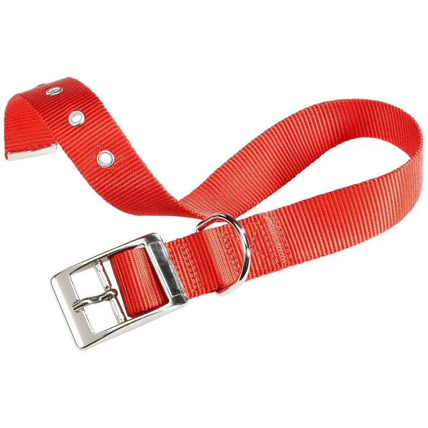 Collar Nylon Perro Ferplast Club Cf25x53 Rojo