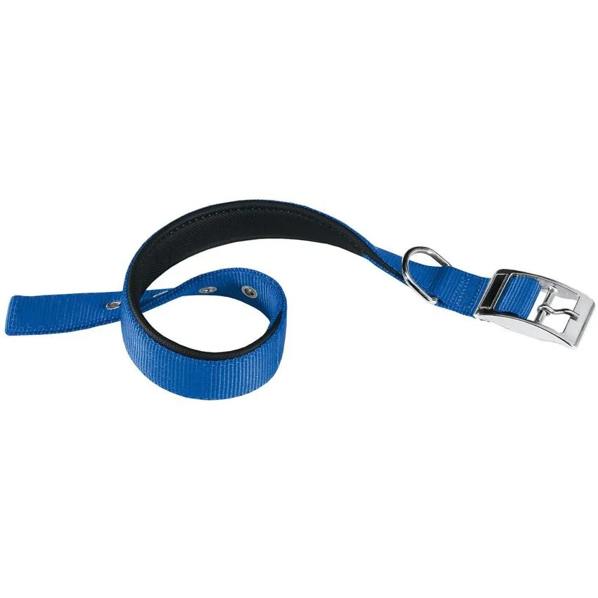 Collar Nylon Perro Ferplast Daytona C40x63 Azul