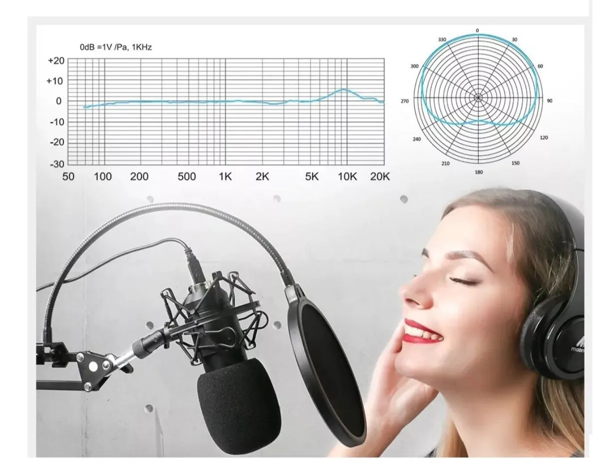 	 Micrófono Condensador Estudio Profesional Voz E Instrumentos Brazo Tijera Y Filtro