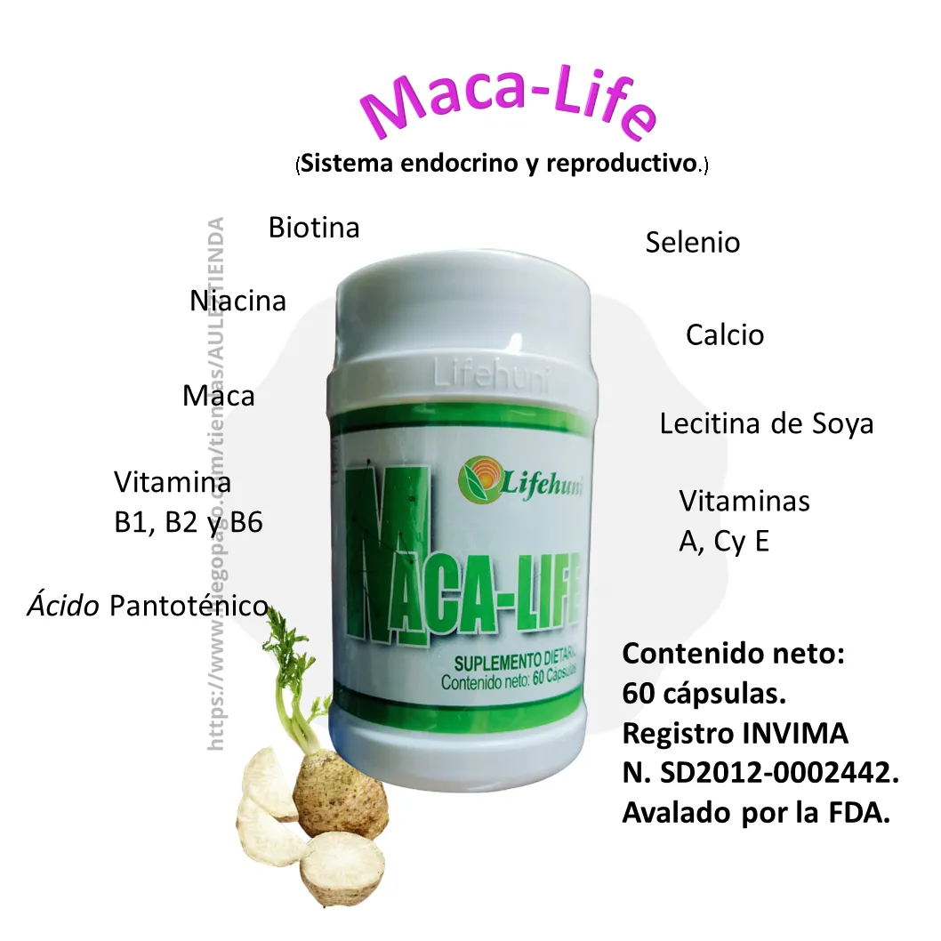 Maca-Life El Ayudante De Tu Sistema Endocrino LIFEHUNI