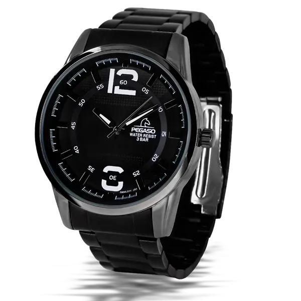 Reloj Pegaso Acero P6517BK-010101A Masculino- Caballero- Hombre