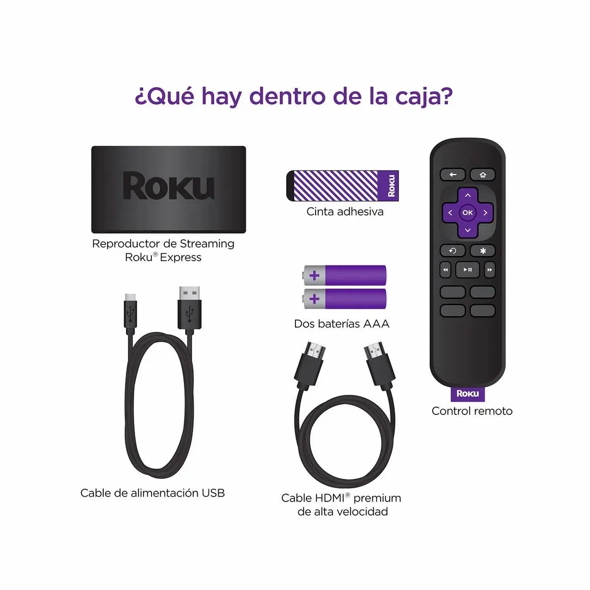 Roku Express Streaming Stick