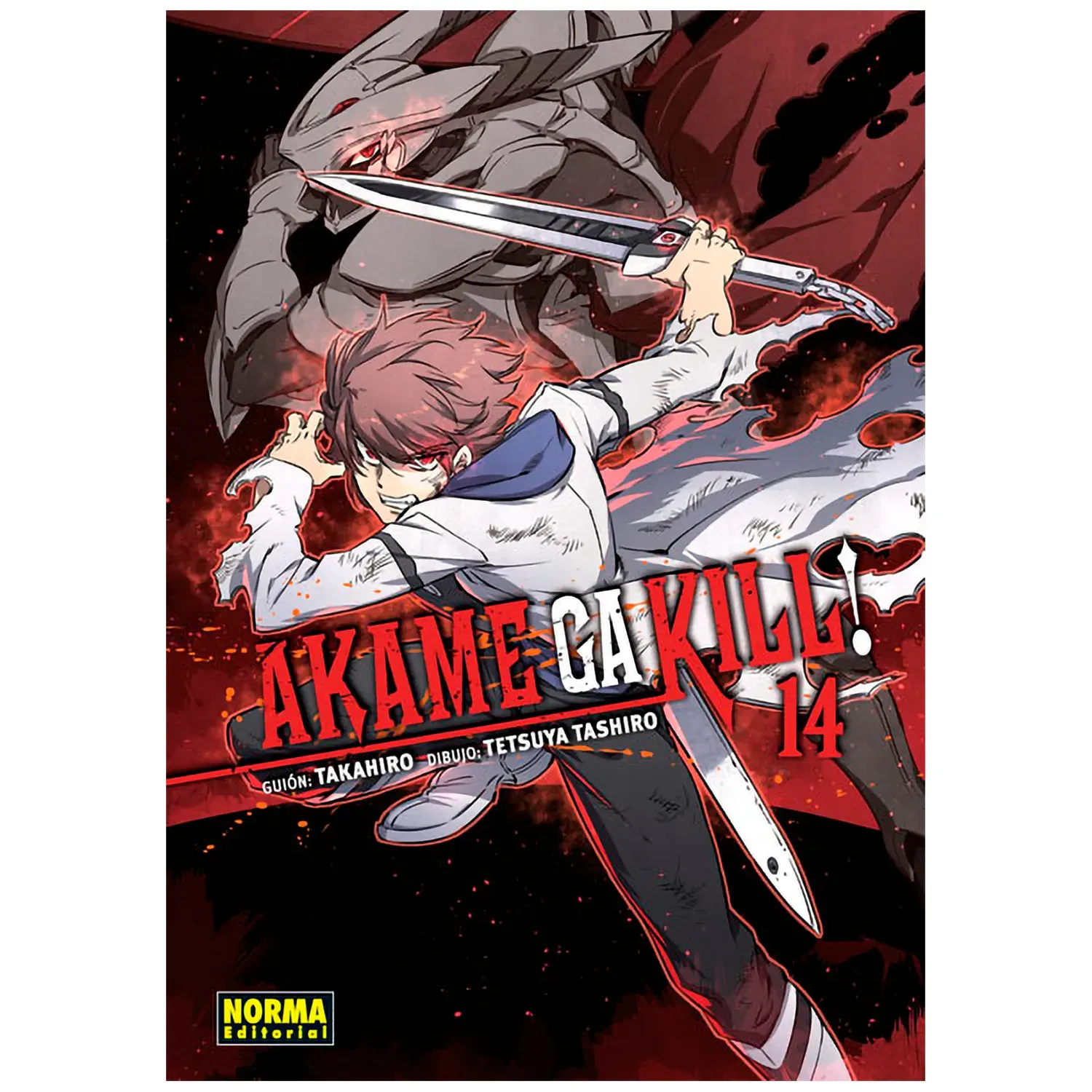 Akame Ga Kill No. 14