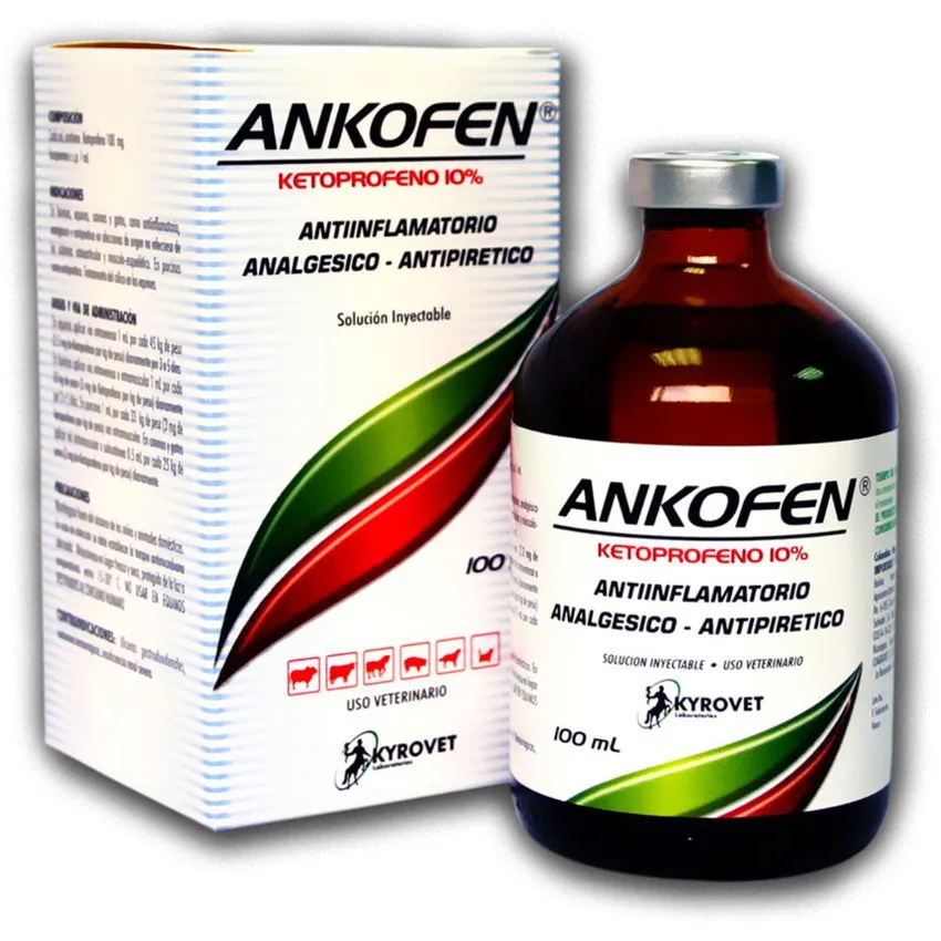 Ankofen 10 Antiinflamatorio Inyectable Perros Gatos 100Ml