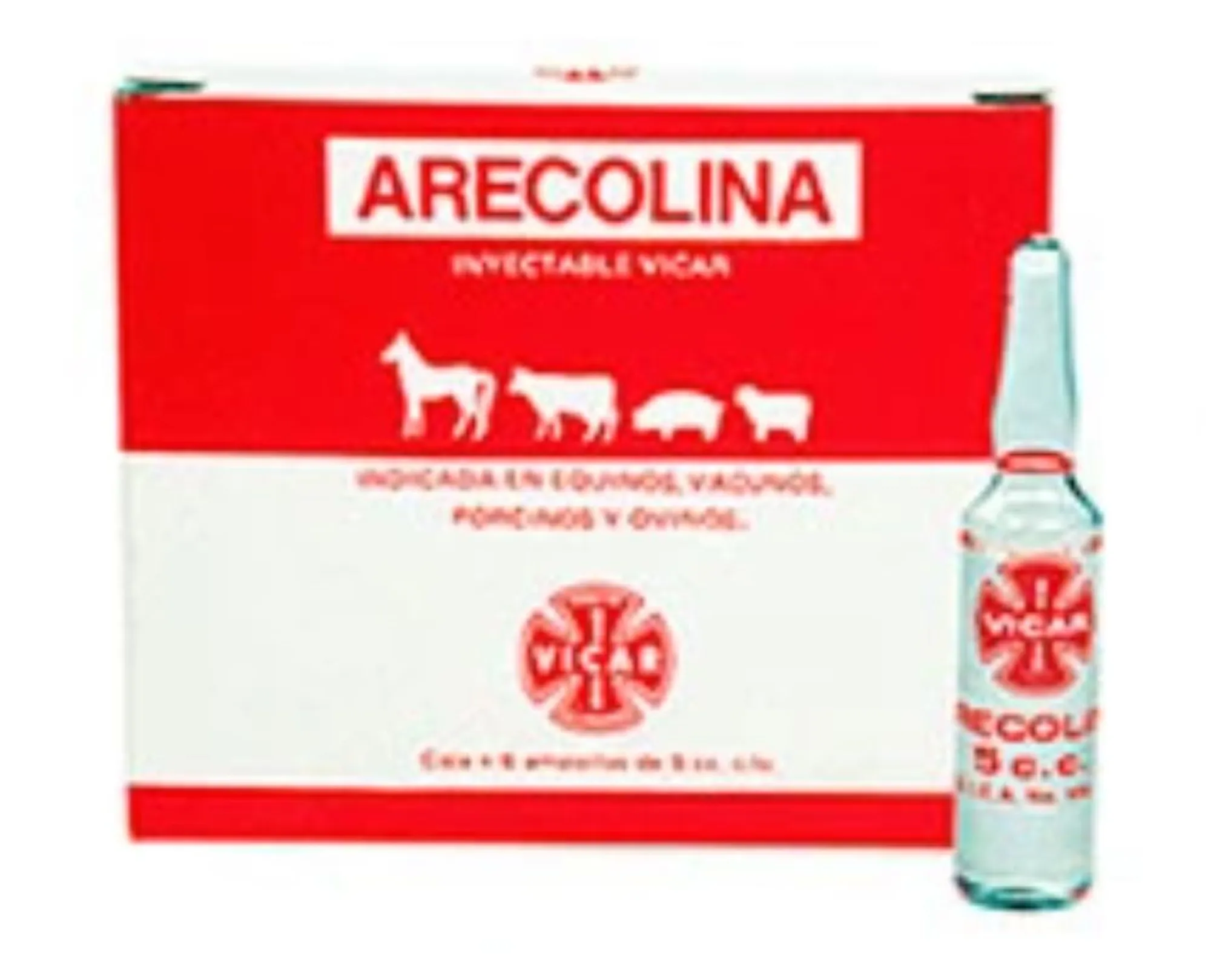 Arecolina x Ampolla 5ml