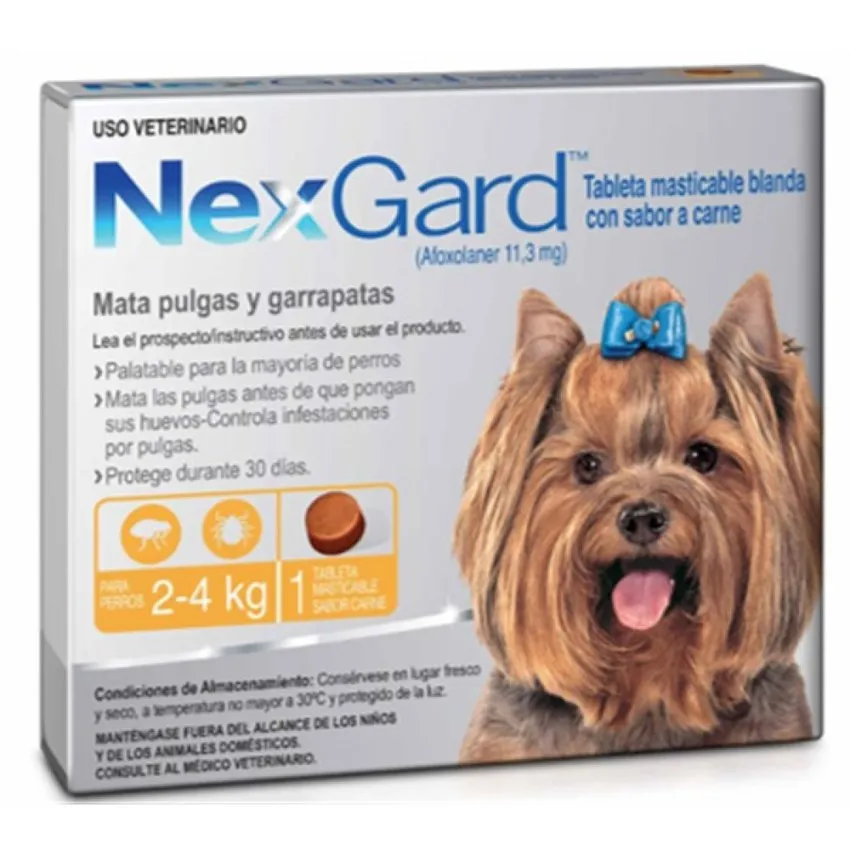 Nexgard Masticable Control Pulgas Garrapatas Perros 2 - 4Kg