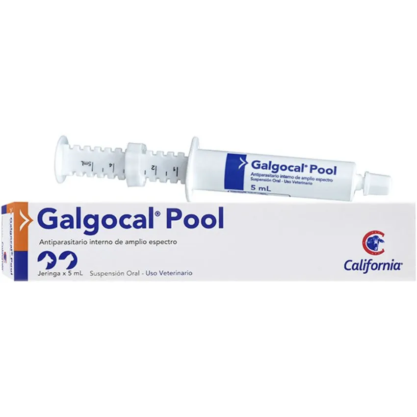 Galgocal Pool Antiparasitario Perros Gatos Jeringa 5Ml