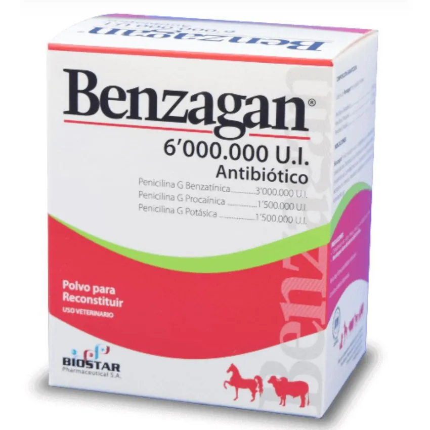 Benzagan Antibiotico Bovinos  - Equinos 6 M.U.I