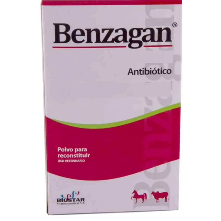 Benzagan Antibiotico Bovinos  - Equinos 20 M.U.I