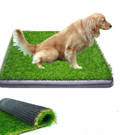 Tapete Entrenador Mascota Con Grama Grande + 1 Repuesto Envio Gratis