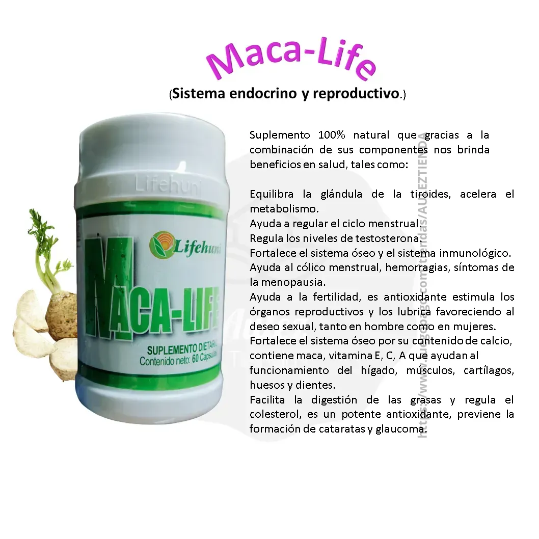 Maca-Life El Ayudante De Tu Sistema Endocrino LIFEHUNI