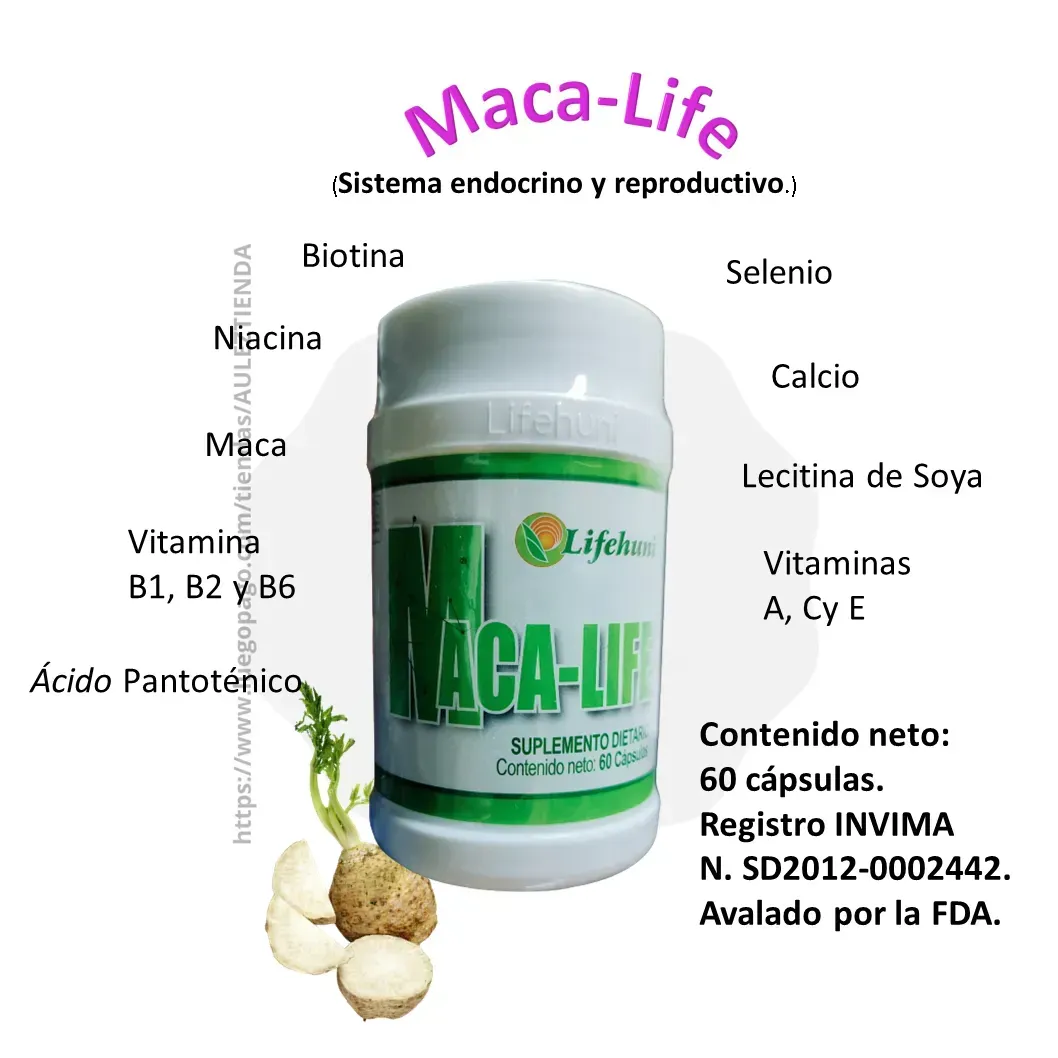 Maca-Life El Ayudante De Tu Sistema Endocrino LIFEHUNI