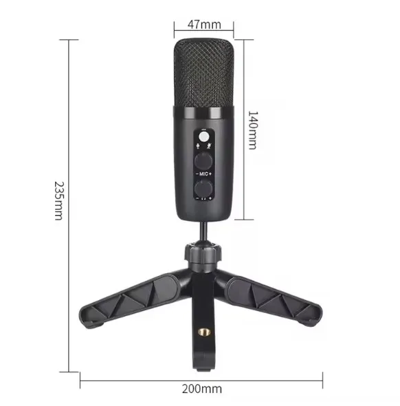 Kit De Microfono Profesional Con Condensador BM-501