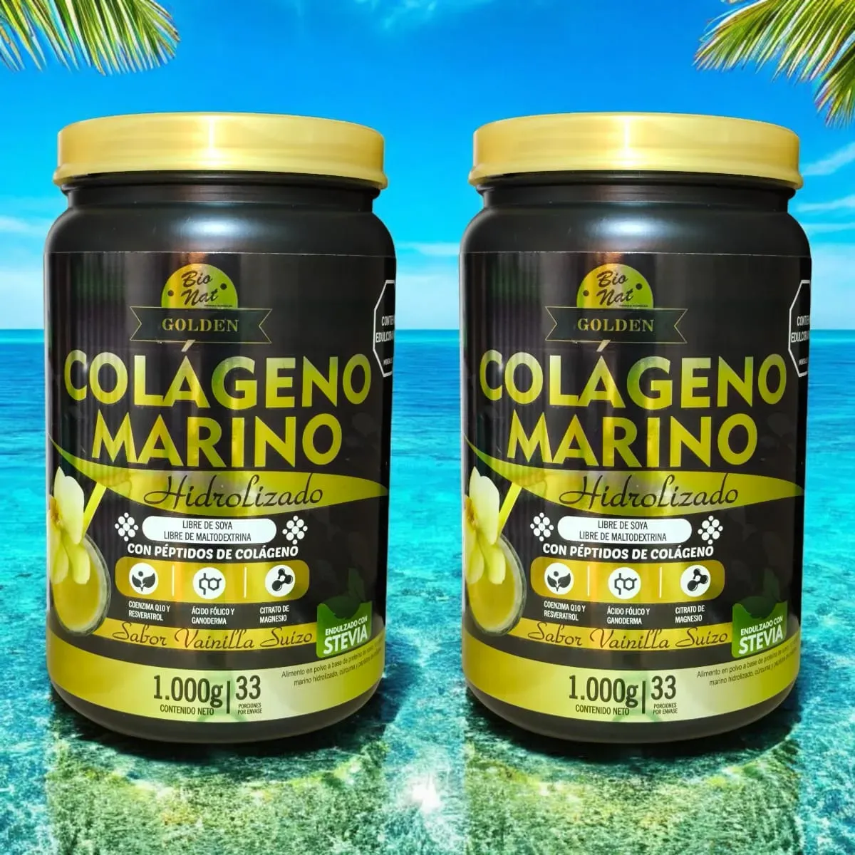 2 Colágenos Marino sin soya ni maltodextrina sabor a Vainilla