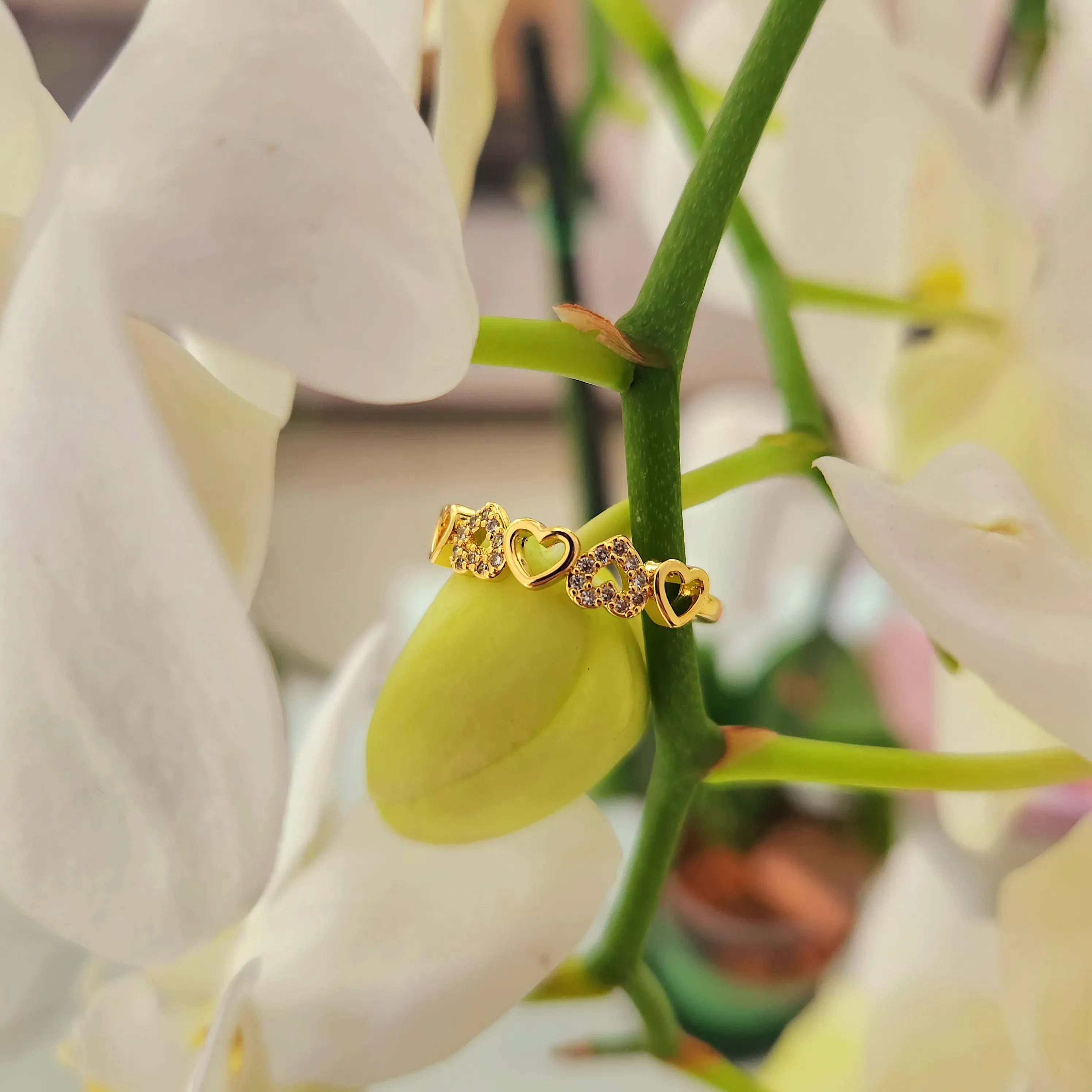 Anillo Promesa Corazones Circones en Rodio Ajustable 